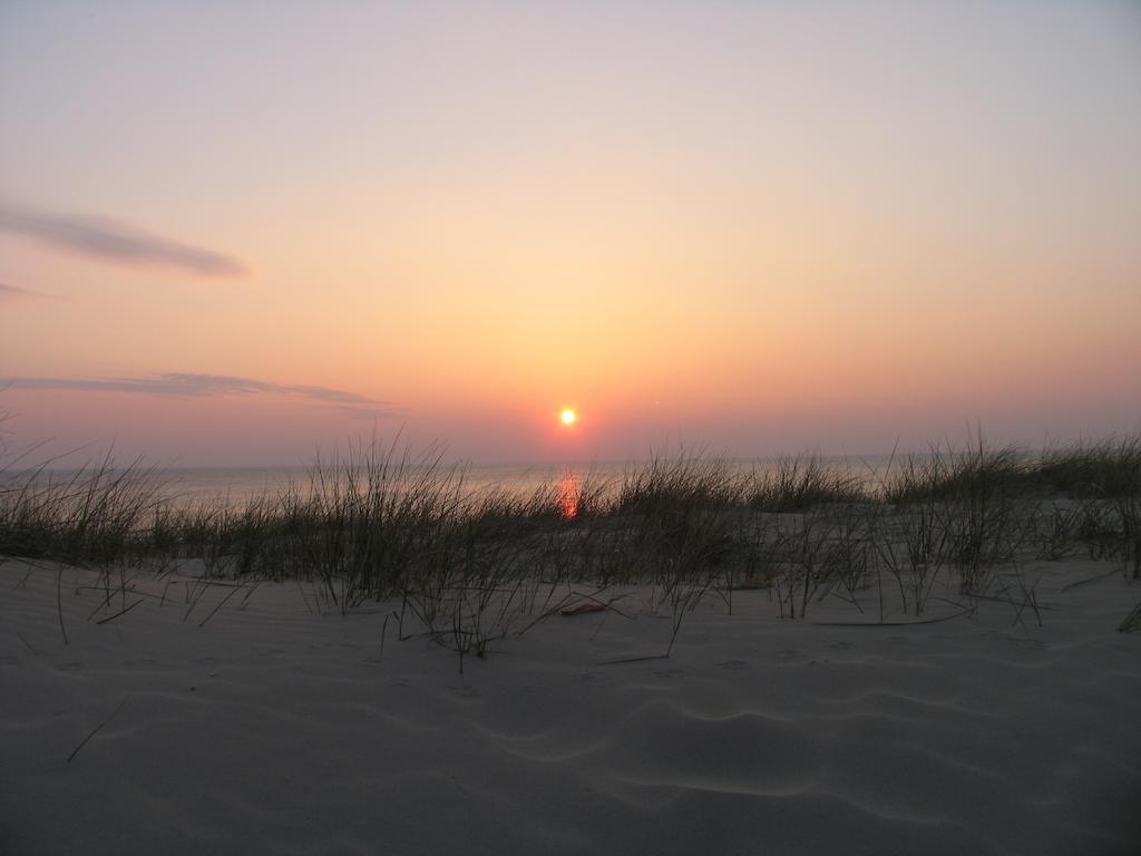 Zuiderduin